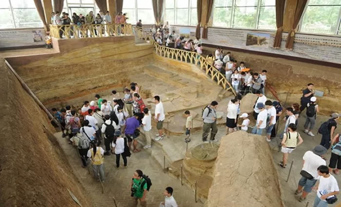 �����Ϻ�����ַ�ݣ�2000�귢���1�ŵص㣩