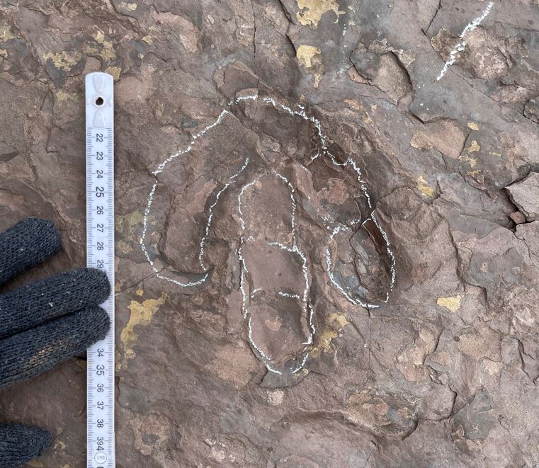广东省肇庆市怀集县发现恐龙足迹化石 扩大白垩纪恐龙在中国的分布范围
