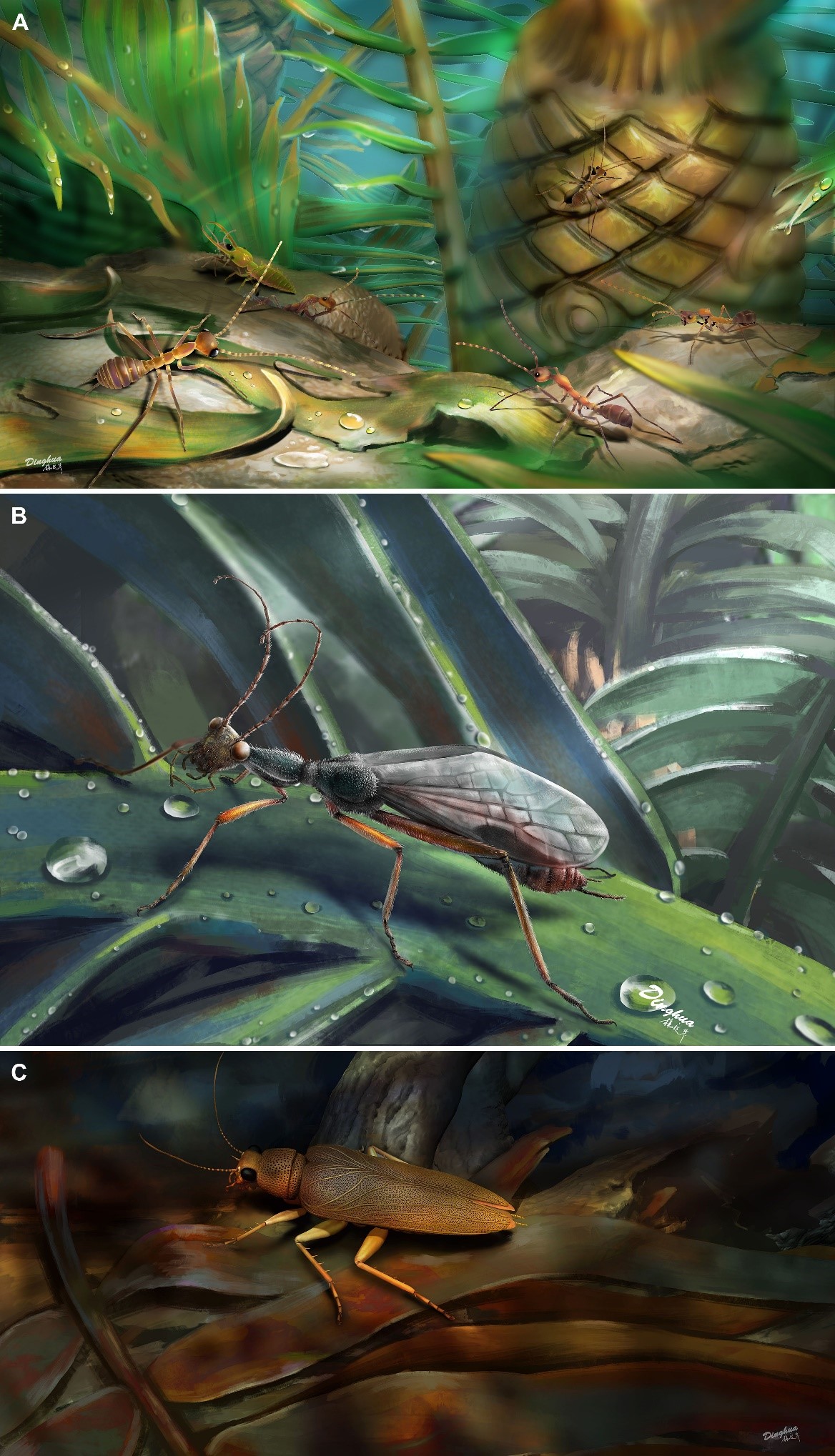 奇翅科生态复原图（杨定华绘制）A：若虫，左下侧为奇翅科，右下侧两只为蜂蚁；B：成虫