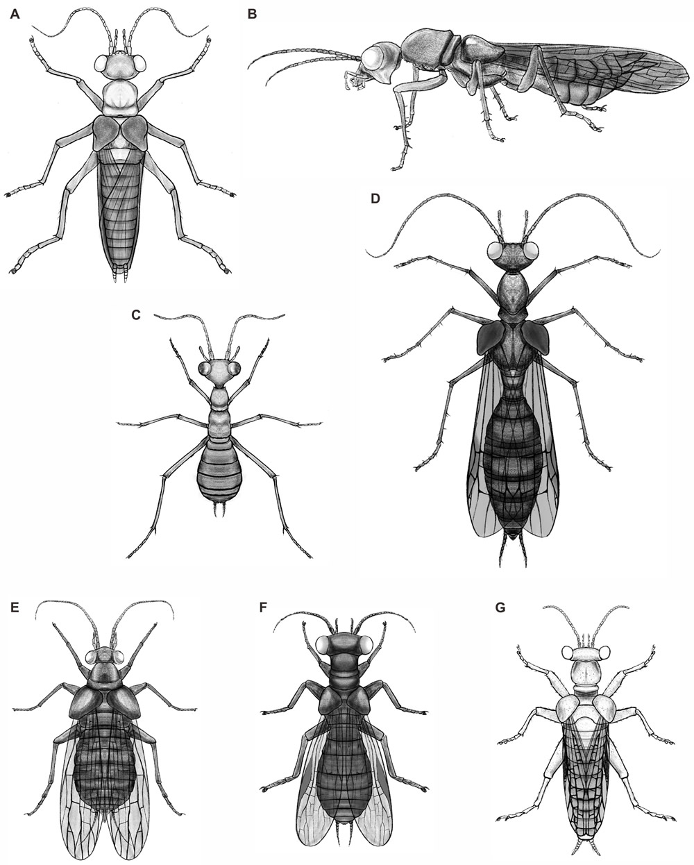 ���Ƹ�ԭͼ����Һ����ƣ�