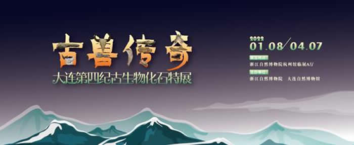 �����޴��桪���������ļ͹����ﻯʯ��չ�����ຼ��