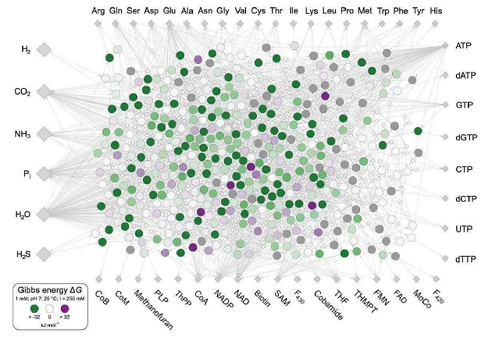 ���о��Ŷ��ܹ�������402�ֺϳ��������ӹ��������ﻯѧ��Ӧ��ͼ��ÿ��ԲȦ������һ�ַ�Ӧ����ɫ�����������Ӧ�ͷų�����������ɫ��ζ�ŷ�Ӧ�����ͷ���������ɫ��ζ����