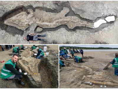 英国东米德兰兹拉特兰郡出土史上最完整鱼龙化石