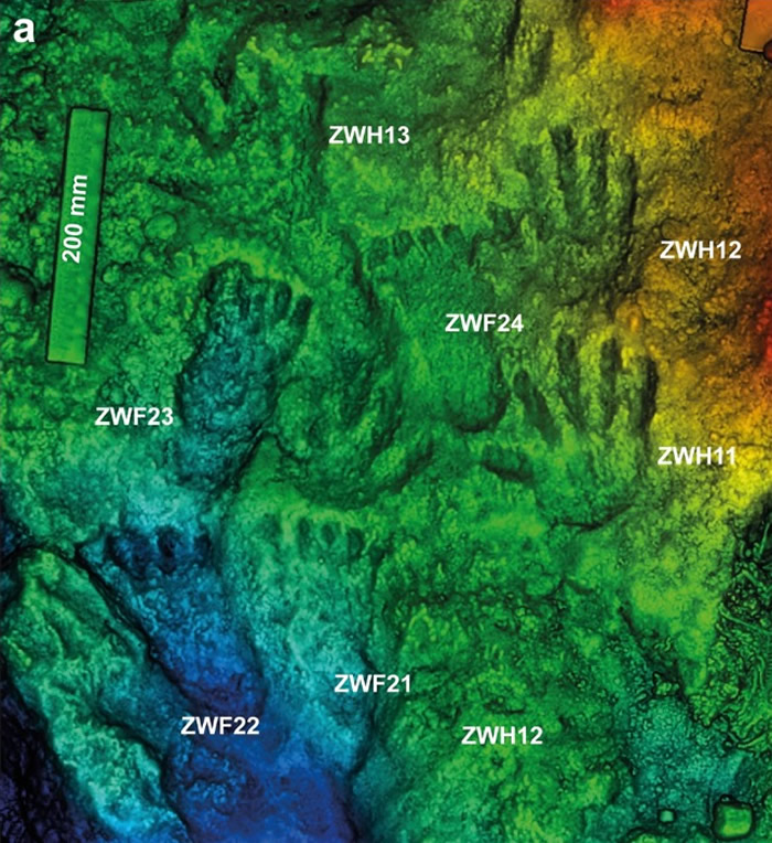 ��ɣ��Ȫ�ֽ�ӡ��ɫ��Ⱦ3Dɨ��ģ�͡��ܷ��߹�ͼ