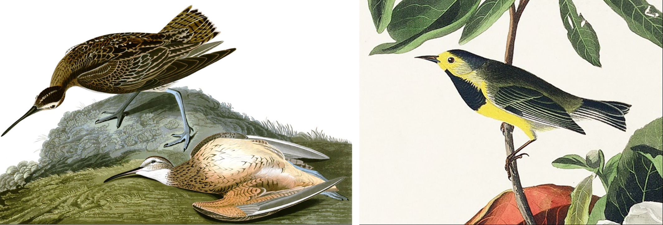 ������ѧ���ۡ������������������Ѿ���ʼ ��ȫ���������