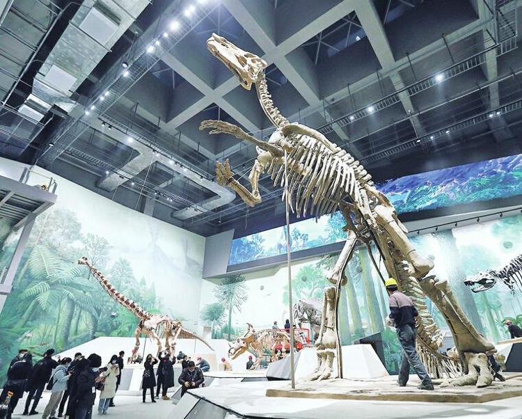 山东博物馆将在春节前开放“山东龙——穿越白垩纪 