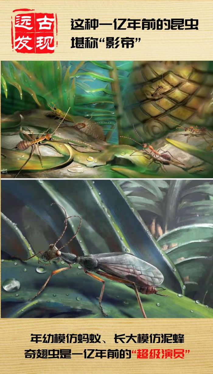 奇翅虫：这种1亿年前的昆虫堪称“影帝”