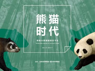 “熊猫时代——揭秘大熊猫的前世今生”展览在北京自然博物馆阳光厅开展