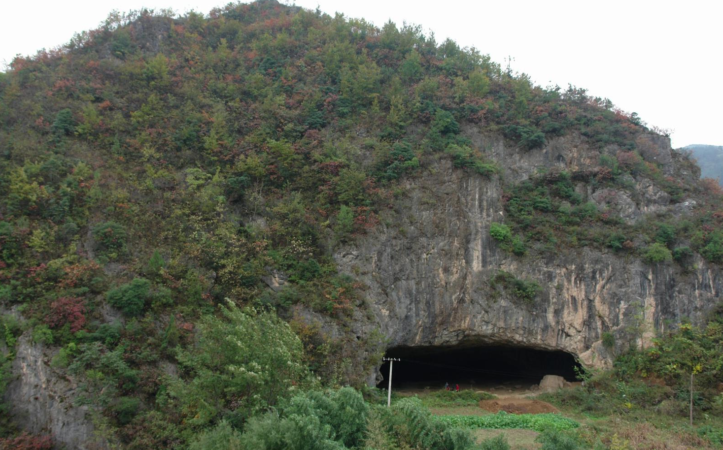 �����ذ�������ַ��������������ַ���롰��������ٴ󿼹ŷ��֡���������