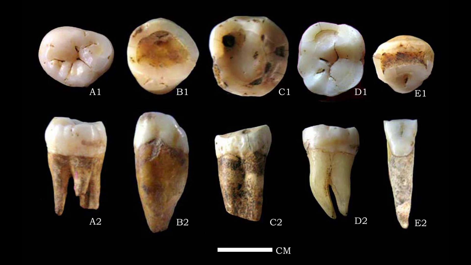 �����ذ�������ַ��������������ַ���롰��������ٴ󿼹ŷ��֡���������