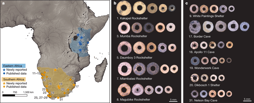 �¹�ѧ�ߣ������࿿�����罻