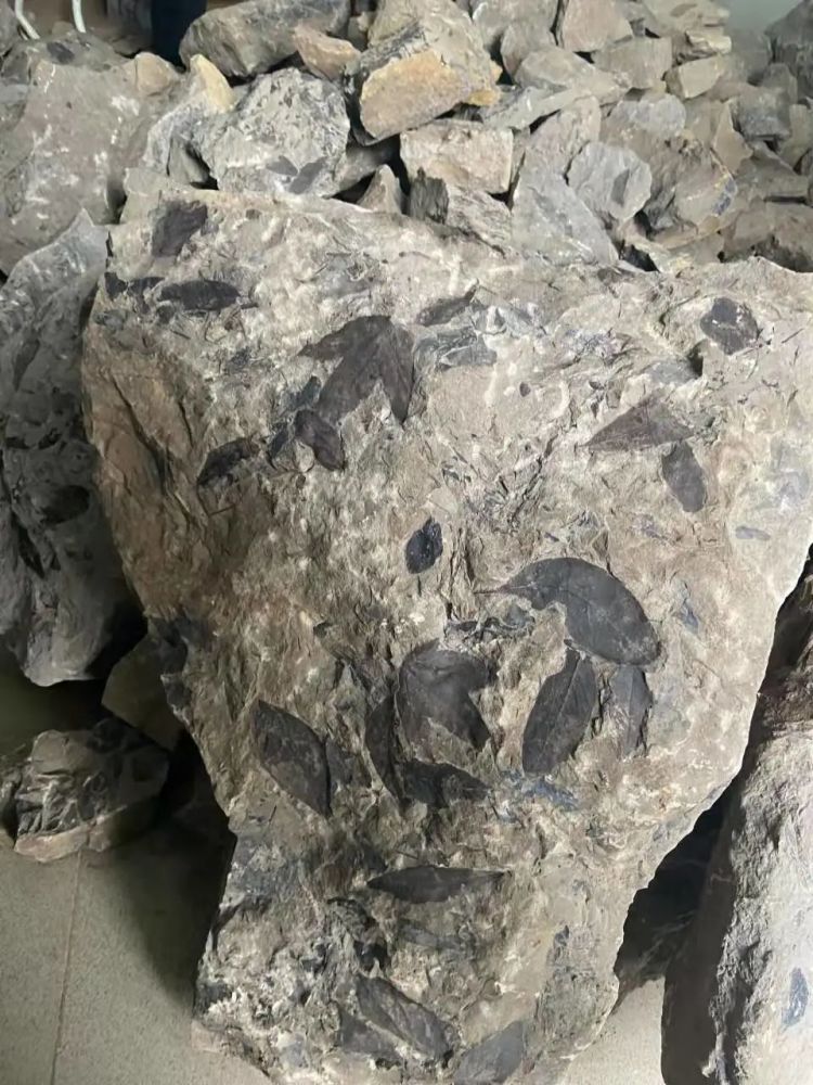 ����3540��������ﻯʯ-���ȼ�����ж�