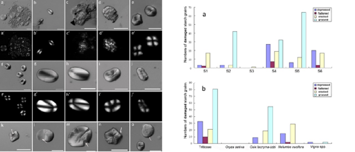 ˫����ַʯ�ʹ��߱�����ȡ���ĹŴ���������������ͬ���������������ķֲ�