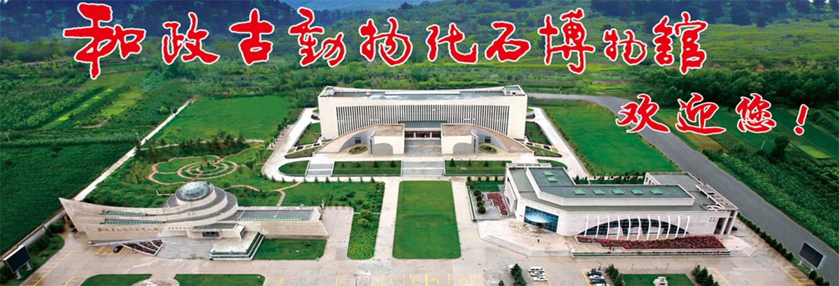 �����Ŷ��ﻯʯ����ݴ����ڼ���̻�ƻ�