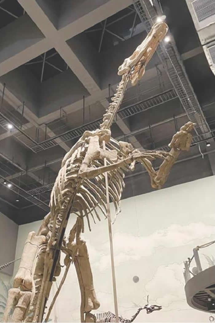 ����ɽ����������ʯ