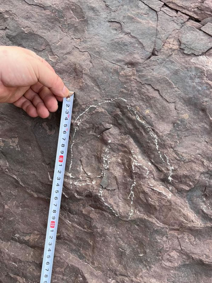 在广东省肇庆市怀集县发现的恐龙足迹。受访者供图