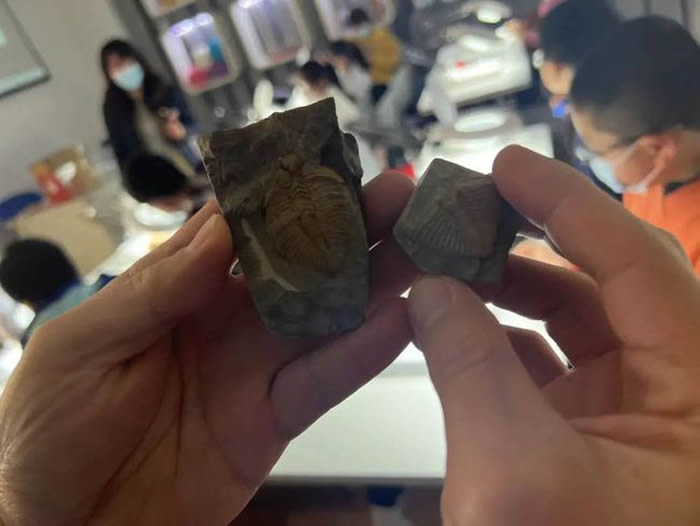 СС�޸�ʦ����Ȥ���������ײ��ʲô�𻨣�