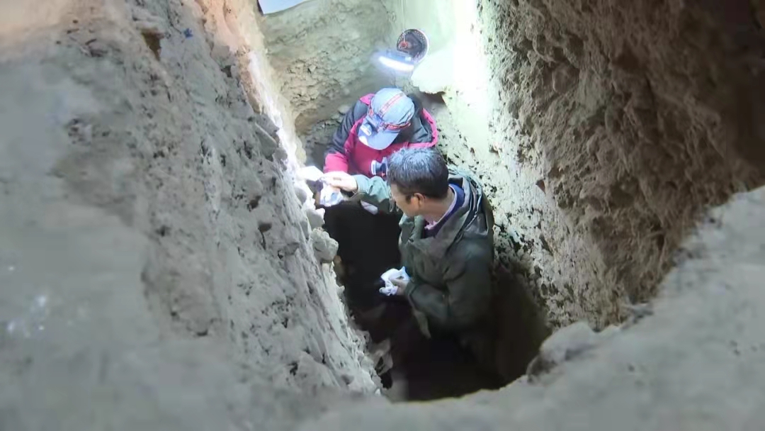 陈发虎院士一行赴夏河县甘加镇白石崖调研“丹尼索瓦人”考古发掘工作