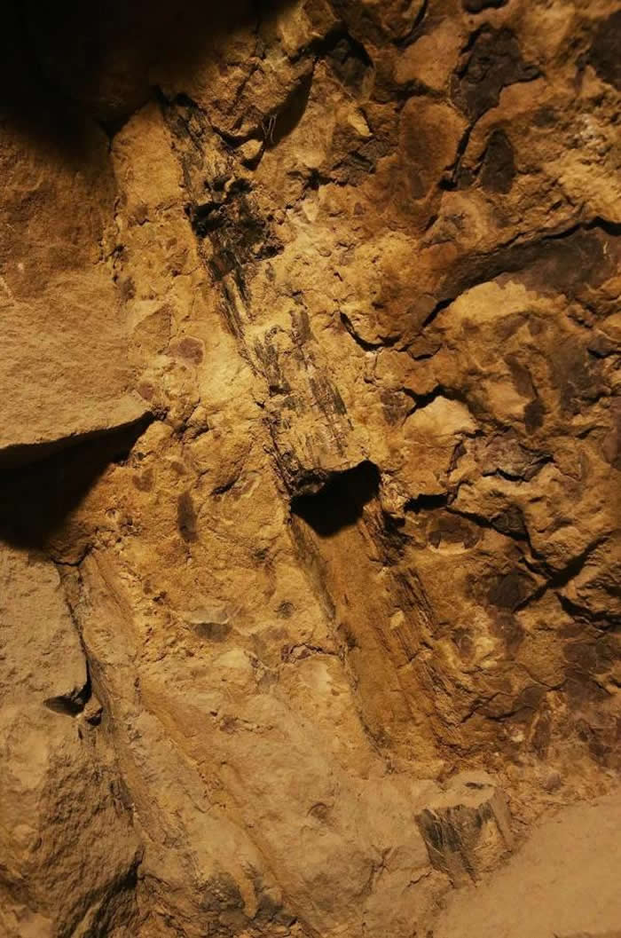 2022��1��23��,���ս�ձ��Ͻ��������ӡˢ����ַ,���ն����±���1.6����ǰ�γɵ�ֱ��ľ��ʯ����Լ��Ӱ ��־��/�Ӿ�����