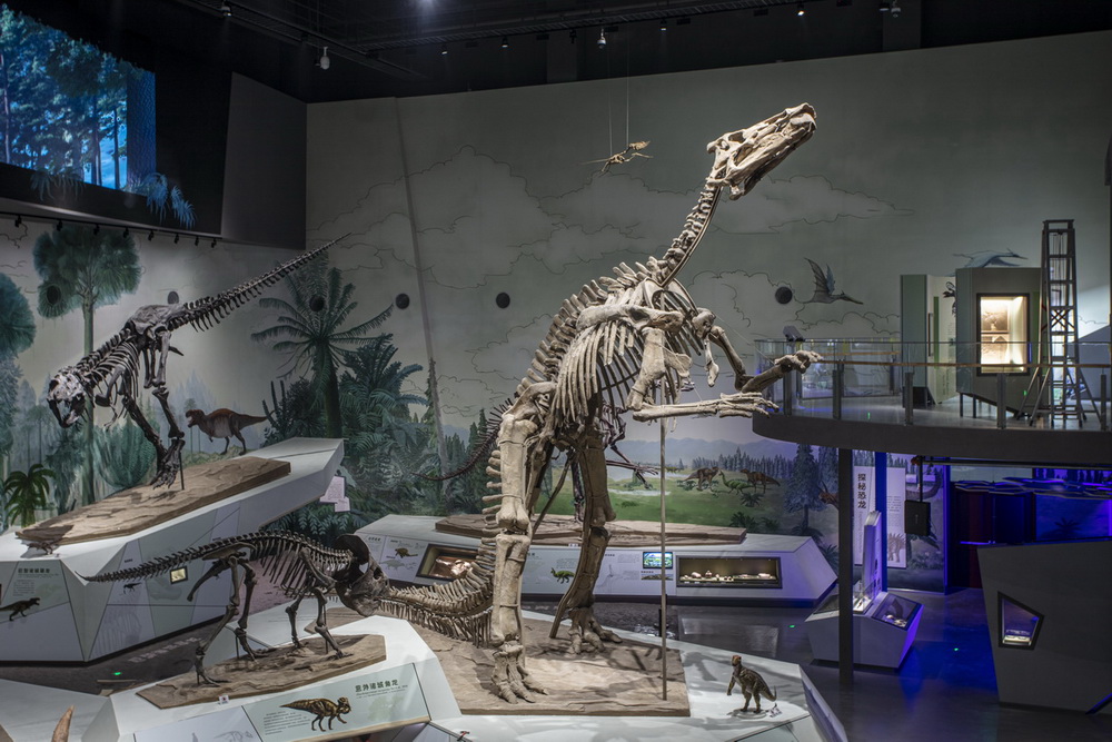 ɽ������ݣ������ݵ��������ʡ���Ϯ��