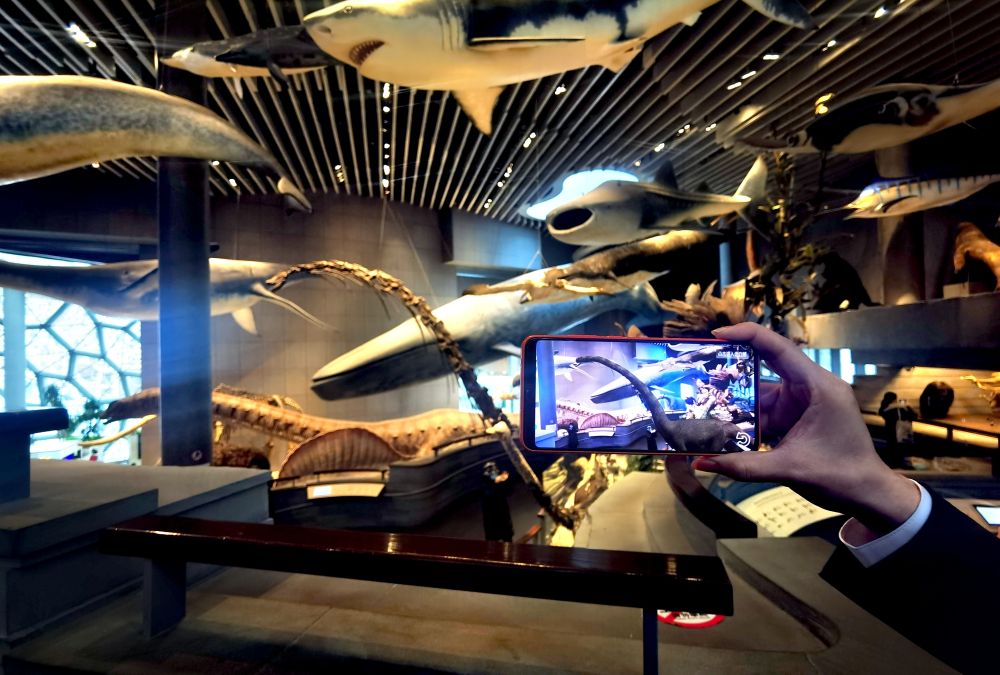 用手机扫描上海自然博物馆内的骨骼标本，肉嘟嘟的合川马门溪龙跃然屏幕上。新华社记者 陈爱平 摄