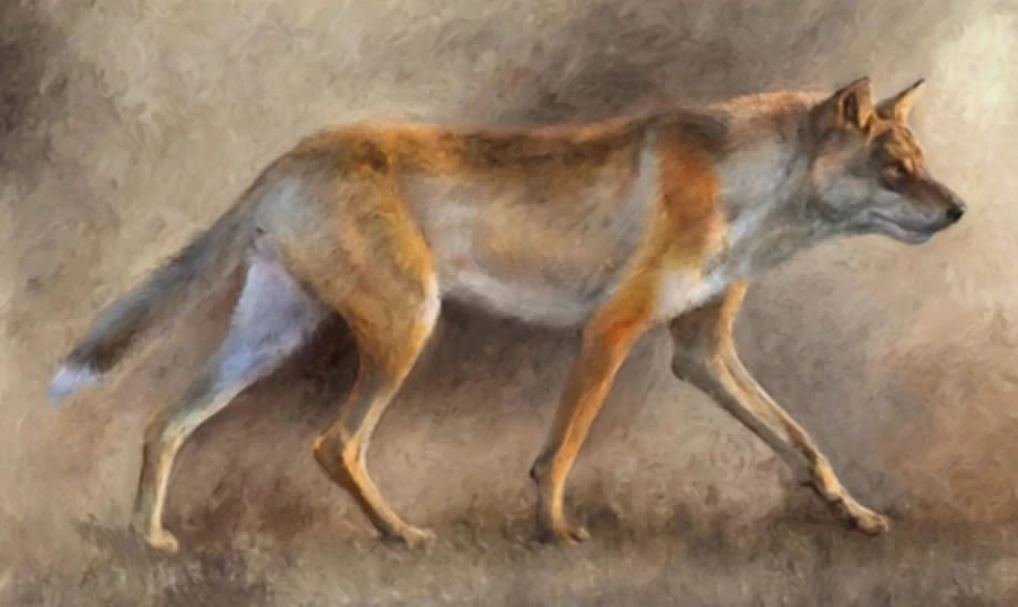 ߳��Ȯ��200���� �����Ϊ��ʳ�����