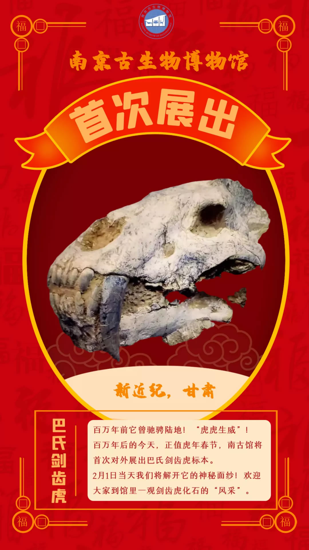 虎年春节，到南京古生物博物馆寻找百万年前的巴氏剑齿虎化石
