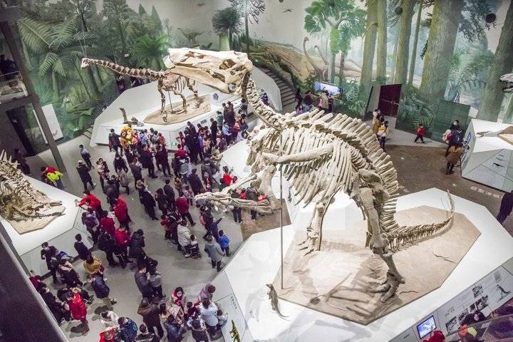 ɽ��ʡ���������һȺ���� ��������׿���