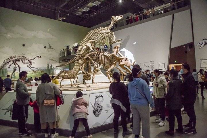 ɽ��ʡ���������һȺ���� ��������׿���