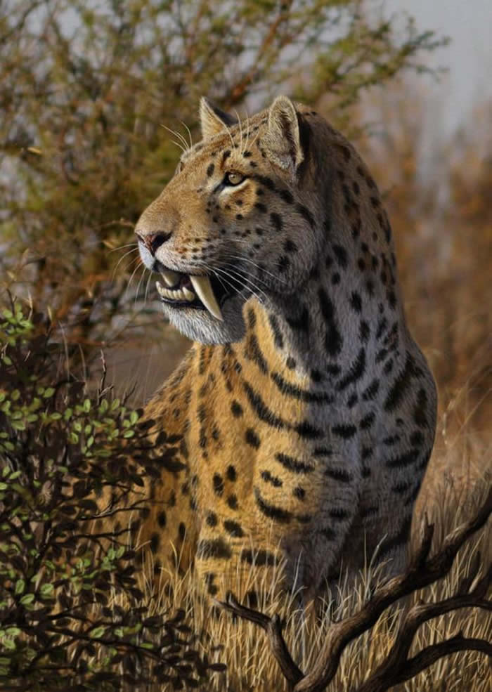 ���ڽ��ݻ��ǿƵĻ��ؾ�򤻢Megantereon whitei��Mauricio Anton�棩