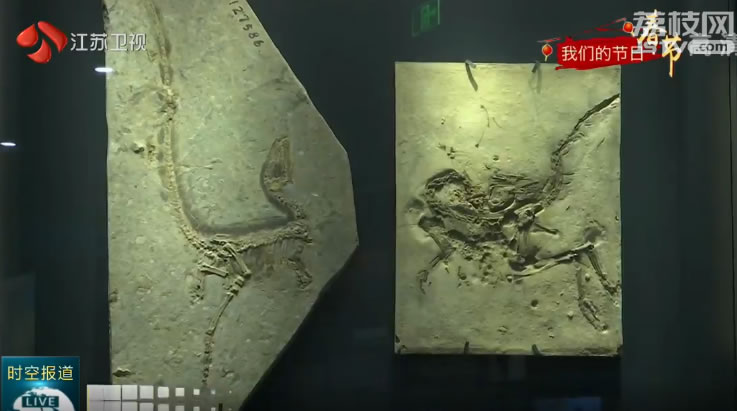 �����ڼ佭��ʡ������ճ�����Ѷ��⿪�� Ϊ���ڷ��Ͻ��ա����մ�͡�