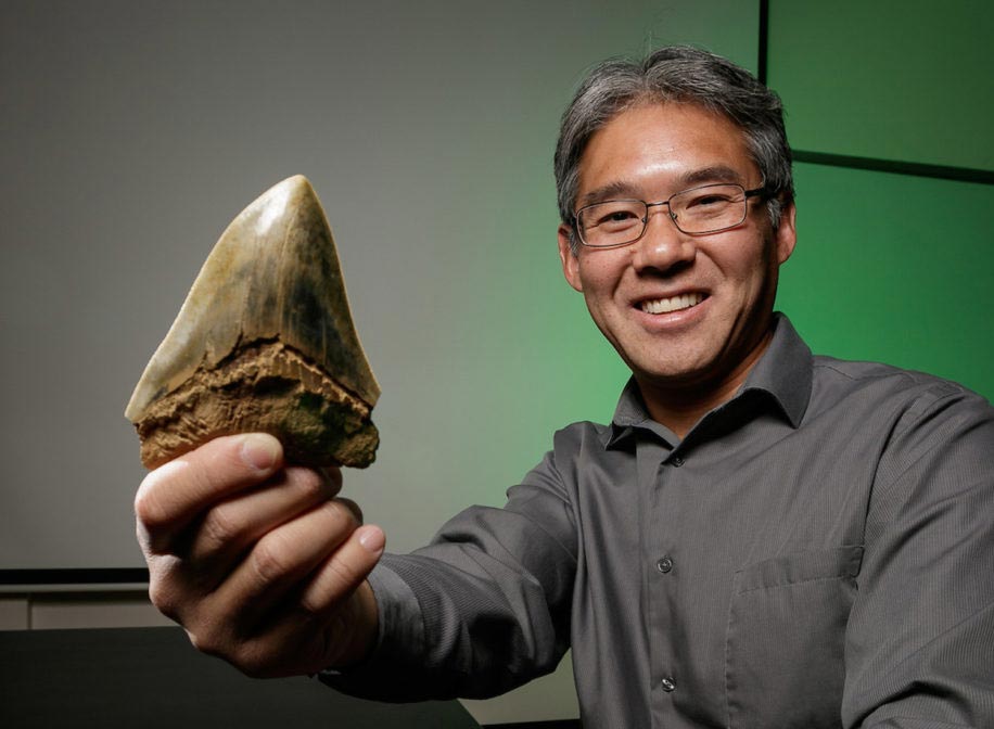 古生物学家Kenshu Shimada（德保罗大学，芝加哥）手持已灭绝的鲨鱼Otodus megalodon的牙齿，即所谓的