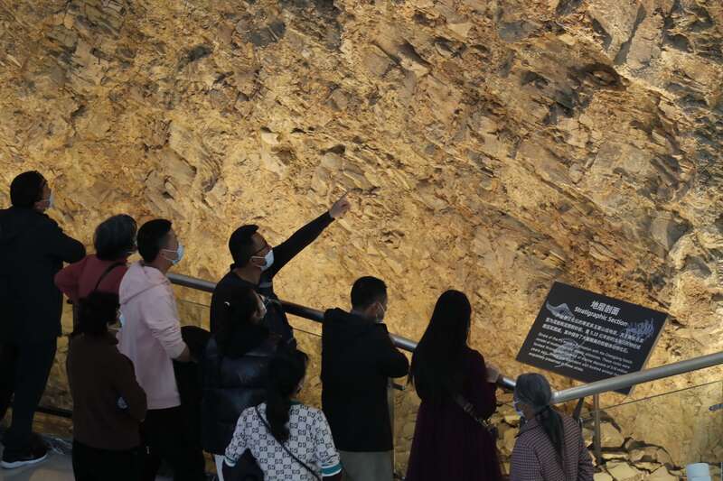 �ν���ʯ��������Ȼ�Ų������ÿ�����������ι��ߡ� ����/��Ӱ