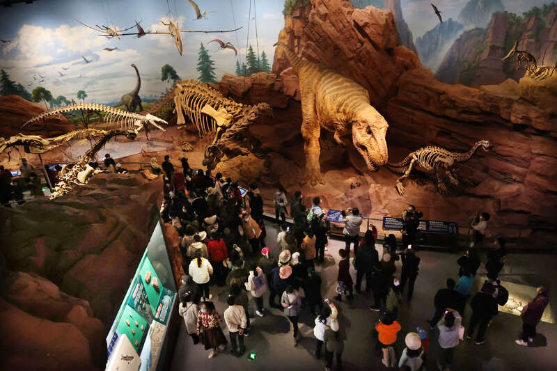 �ν���ʯ����Ȼ����ݻ�չʾ�����Է��ޡ����޵ı걾���Լ���ԭ�����֡����ء�ʪ�صȶ����������� ����/��Ӱ