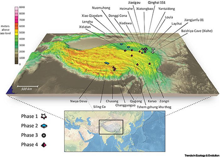 ��ظ�ԭ��ʯ����ַ�ֲ�