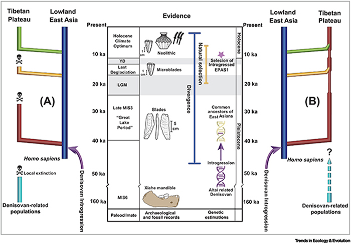 ������ظ�ԭ��Ⱥ��ʷ��֤����������˵ ����������ͼ��