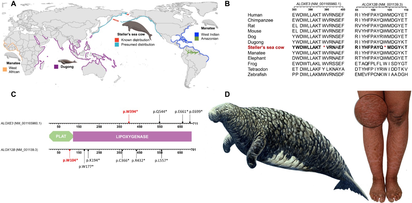 ����ʱ�������ˡ�˹������ţ�Ļ��������