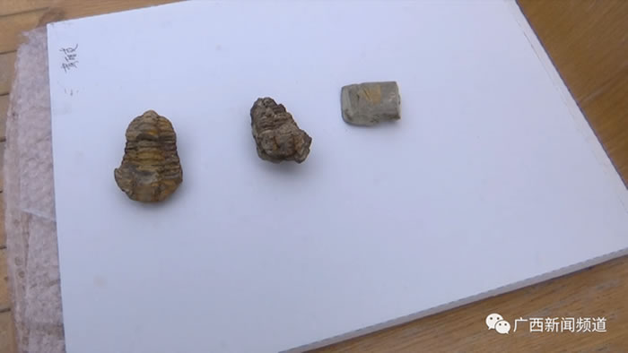 ��������һ���ӽ����ڳ�����ʯͷ�� ר�ң����������ڳ���۳滯ʯ