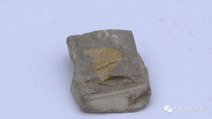 ��������һ���ӽ����ڳ�����ʯͷ�� ר�ң����������ڳ���۳滯ʯ