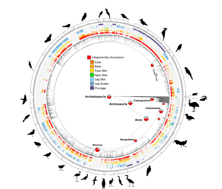 ����������־�����������ͽſ��ܾ������ִ��������Ƶ�������ɫ