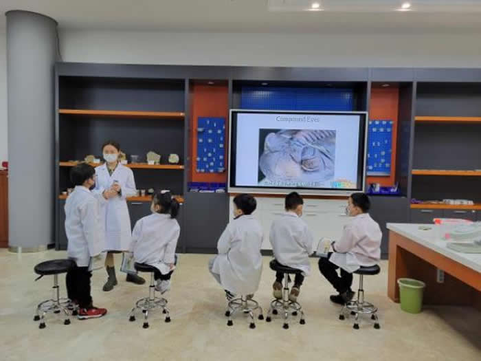 λ�����������̬�ǵĹ��Һ�����ݿ�������ʯ�޸��ҡ� ��չ��Ҷ�滯ʯ̽���