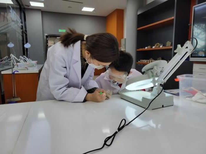 λ�����������̬�ǵĹ��Һ�����ݿ�������ʯ�޸��ҡ� ��չ��Ҷ�滯ʯ̽���