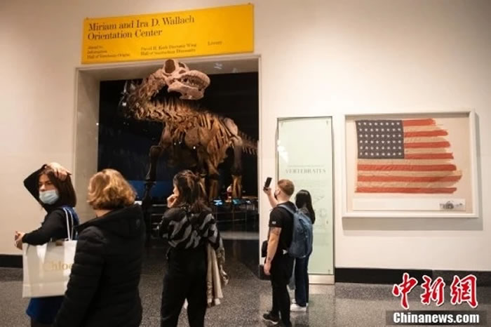 ������Ȼ��ʷ����ݡ�̩̹������չ���������ﲻ��