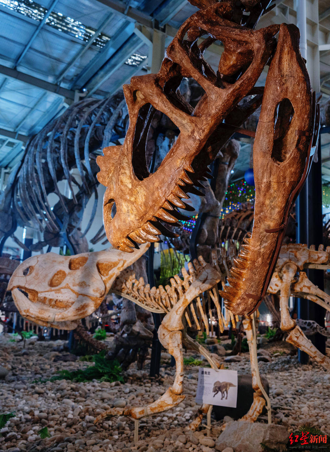 ������Ȼ�಩��ݶ���Ѱ�������񣡳ɶ��ĳ������ݲ���ݡ���Ѫ�������ж�ǿ��