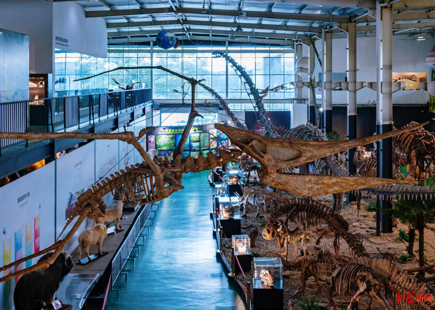 ������Ȼ�಩��ݶ���Ѱ�������񣡳ɶ��ĳ������ݲ���ݡ���Ѫ�������ж�ǿ��