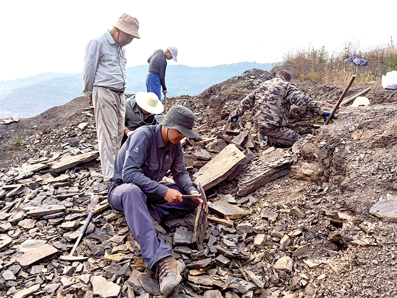 �п�Ժר������Ȫ�п��컯ʯ��Դ