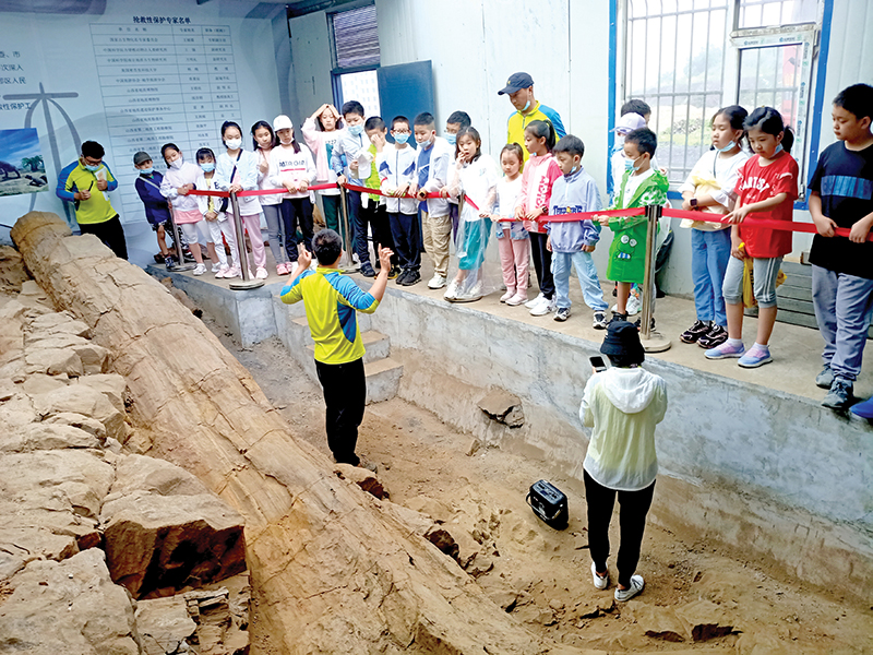 С���Ѳι���Ȫ��ƴ�ľ��ʯ