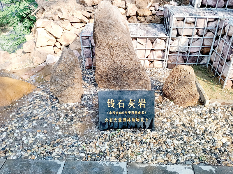 ��ɽ��԰��ʯ����԰�е�Ǯʯ����