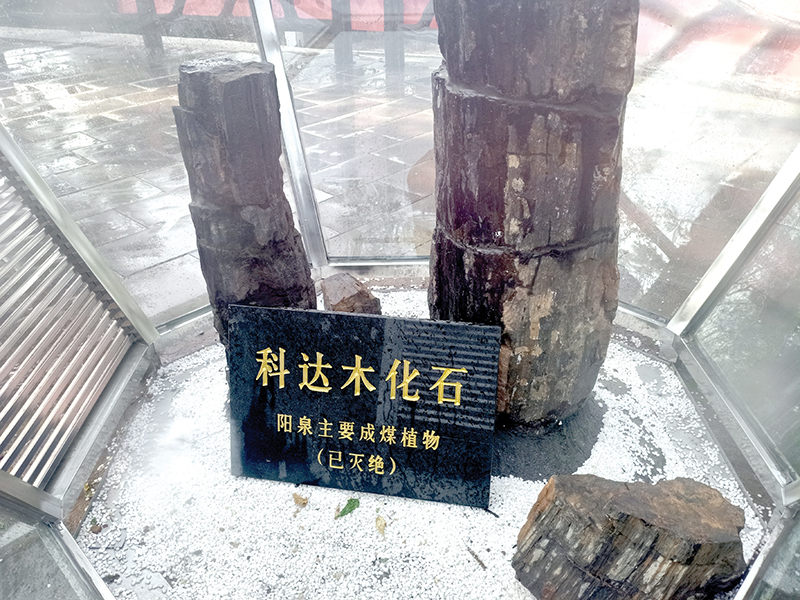 ��ɽ��԰��ʯ����԰�еĿƴ�ľ��ʯ