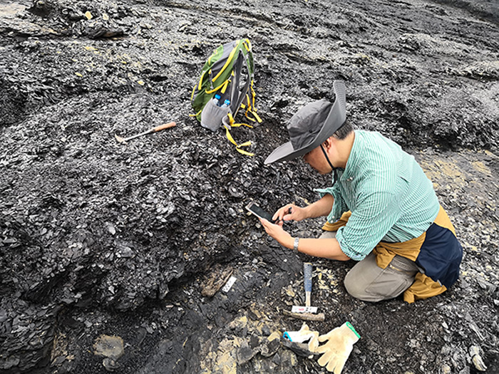 �����о�Ա�ڼ���·��ֵĻ�ʯ��������� �㣩